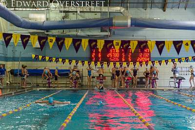 Swimsenior Night 8